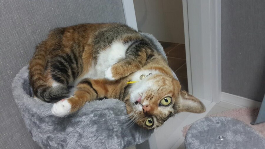 [26학번 새내기] 안녕하새오~ 새내기애오_7.jpg