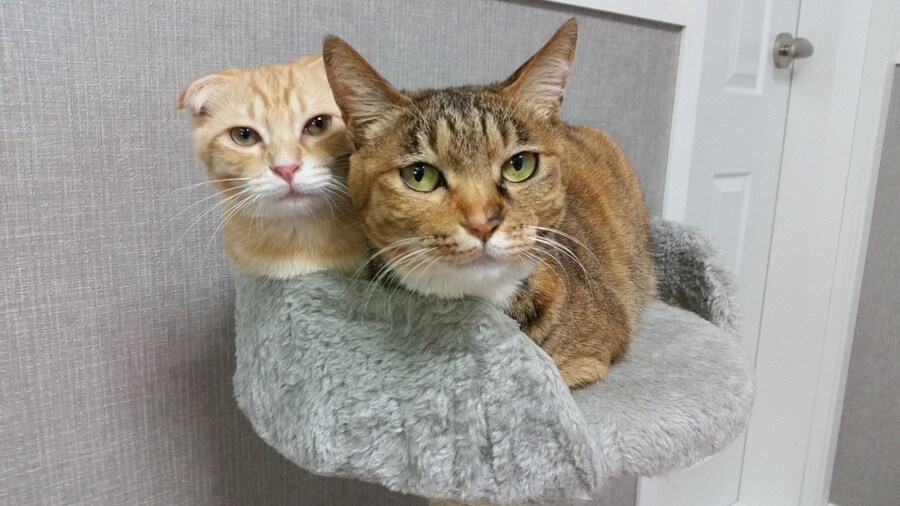 [26학번 새내기] 안녕하새오~ 새내기애오_8.jpg