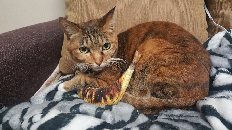 [26학번 새내기] 안녕하새오~ 새내기애오_9.jpg