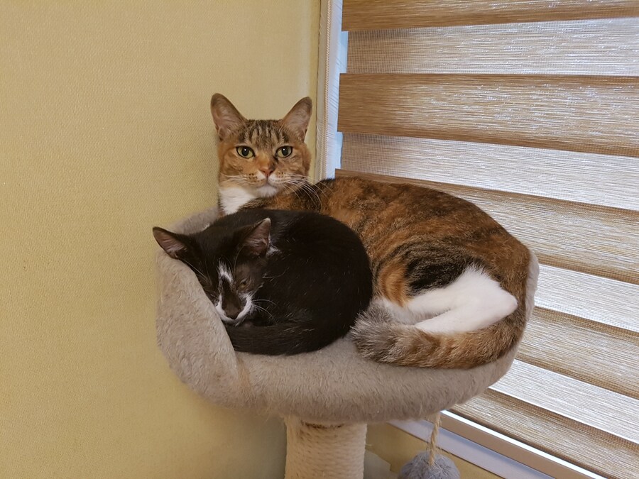 [26학번 새내기] 안녕하새오~ 새내기애오_11.jpg