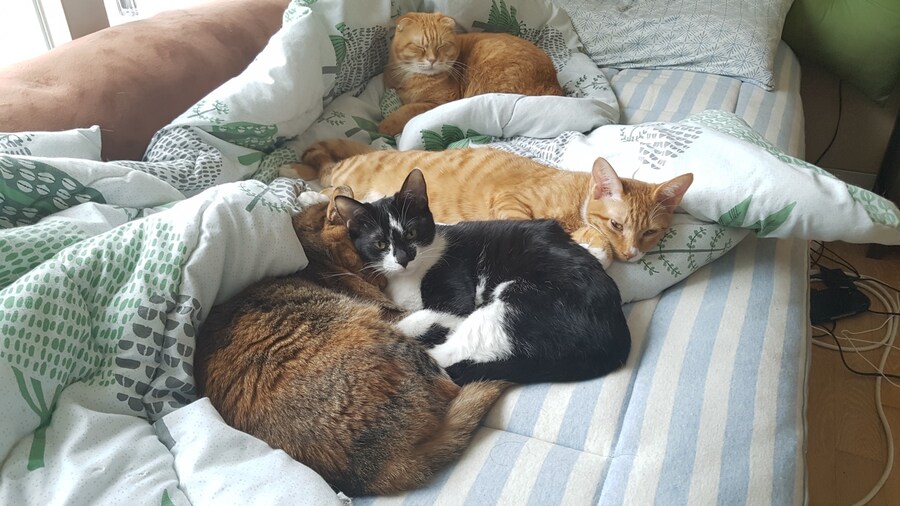 [26학번 새내기] 안녕하새오~ 새내기애오_13.jpg