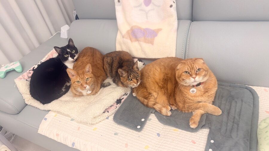 [26학번 새내기] 안녕하새오~ 새내기애오_21.jpg