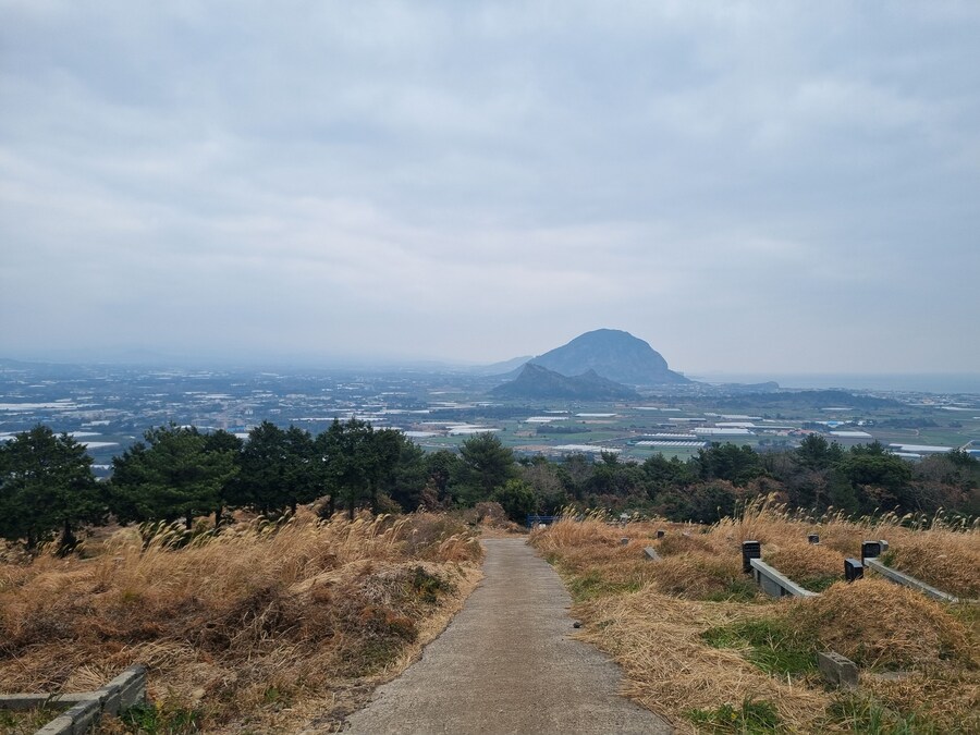 엄청 오랜만의 제주도_12.jpg