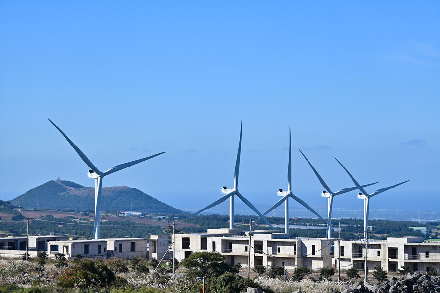 25년 11월 제주 여행_39.jpg