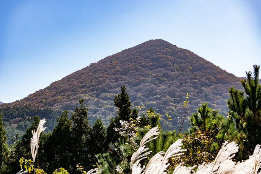 25년 11월 제주 여행_54.jpg