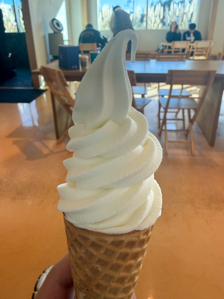 25년 11월 제주 여행_73.jpg