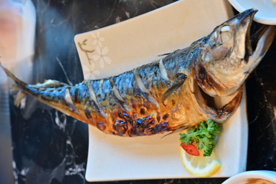 25년 11월 제주 여행_95.jpg