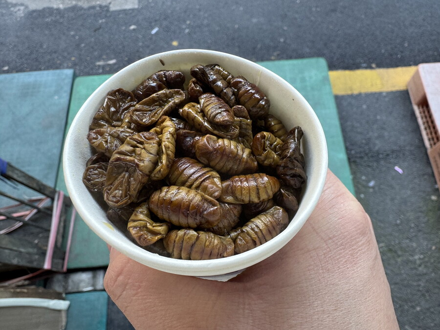 추억의 번데기~~~_1.jpg