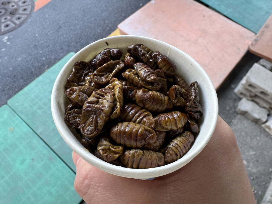 추억의 번데기~~~_2.jpg