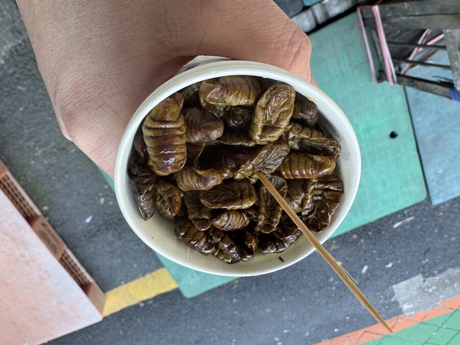 추억의 번데기~~~_3.jpg