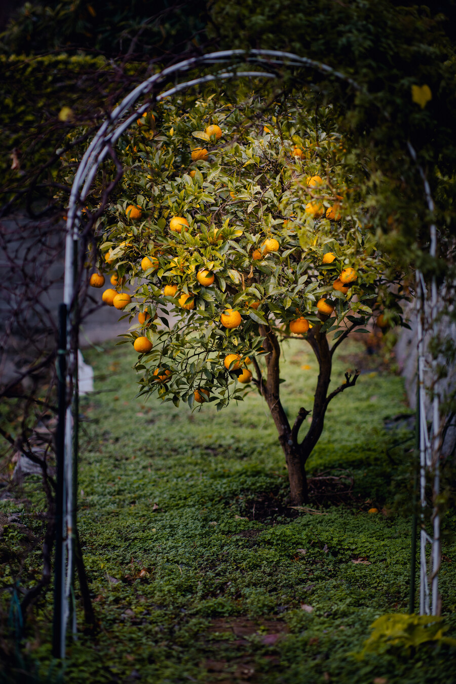 시모노세키 사무라이 마을과 잉글리쉬 카페 다녀왔습니다._21.jpg