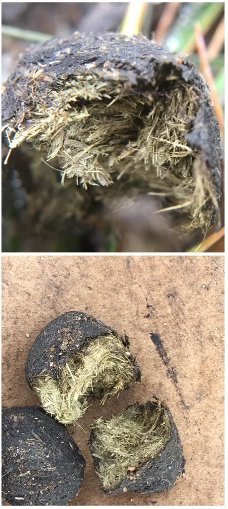 혐)두쫀쿠 유행이 어색하다는 직업_4.webp