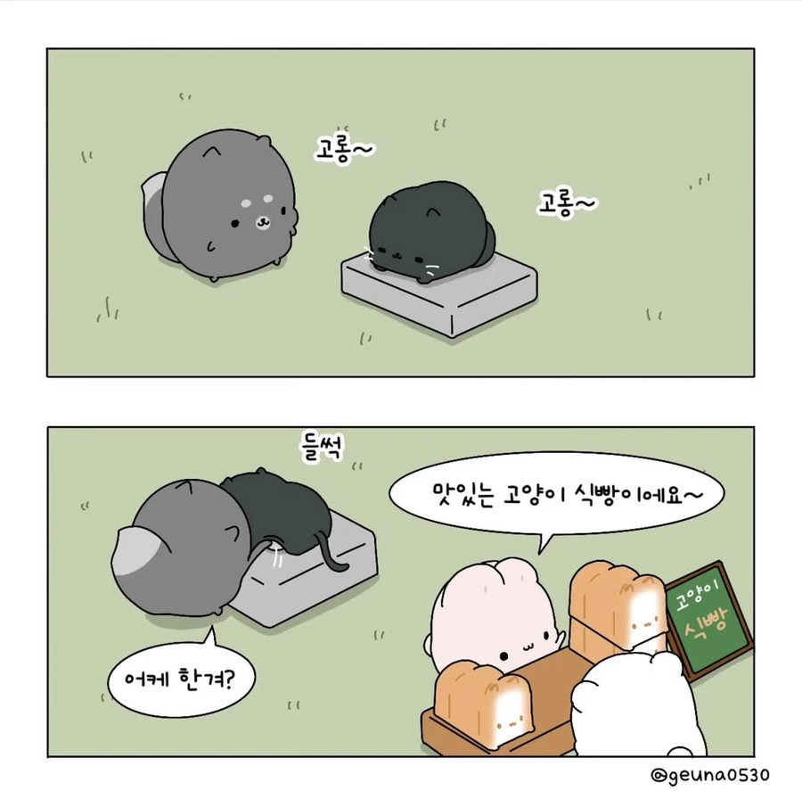 고양이 식빵을 굽는 .manhwa_4.webp