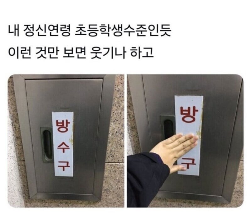 내 정신연령 초등학생 수준인듯_1.jpg
