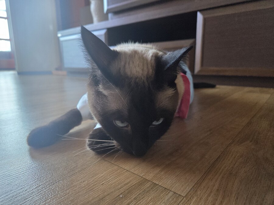 태국 오토코노코 하의실종 한복차림 ㄷㄷㄷ_9.jpg