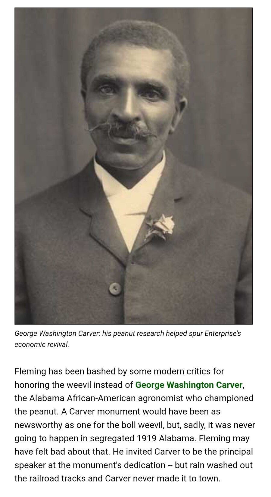 "우리 목화밭을 망친 목화바구미가 우리에게 풍요를 주었다!".jpg_1.jpg