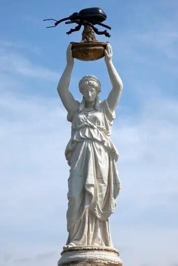 "우리 목화밭을 망친 목화바구미가 우리에게 풍요를 주었다!".jpg_3.jpg