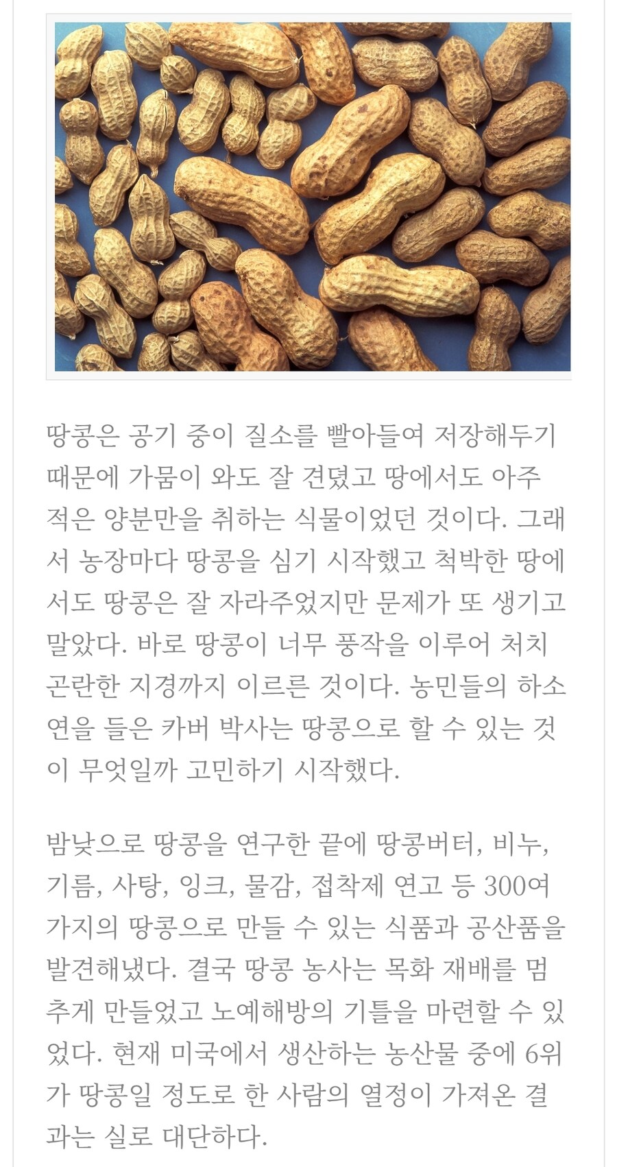 "우리 목화밭을 망친 목화바구미가 우리에게 풍요를 주었다!".jpg_5.jpg