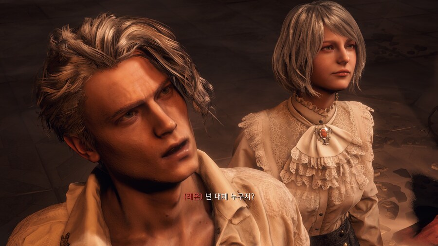 바이오하자드 RE:4_11.jpg