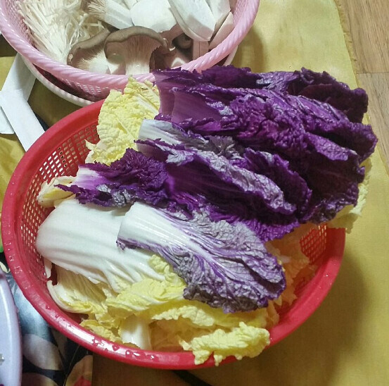 한국에서 유독 초록배추로만 김치를 담그는 이유_1.jpg