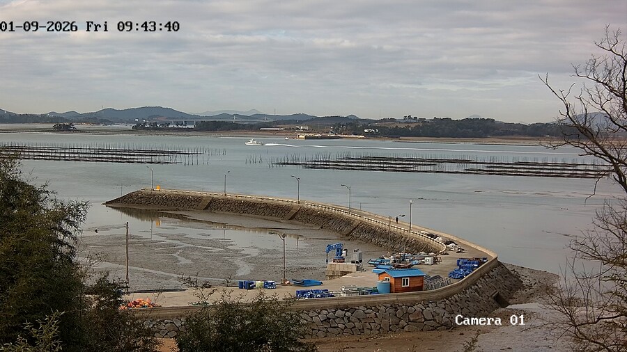 서해 바다 사진 (서해 바다를 실시간으로 CCTV 로 볼수 있음)_3.png