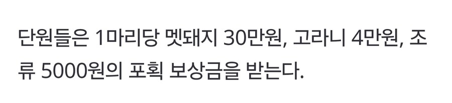 멸종위기종을 학살하면 돈 주는 나라..._3.jpg