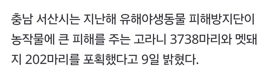 멸종위기종을 학살하면 돈 주는 나라..._2.jpg