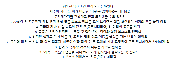 6년 전 잃어버린 반려견이 돌아왔다_1.webp