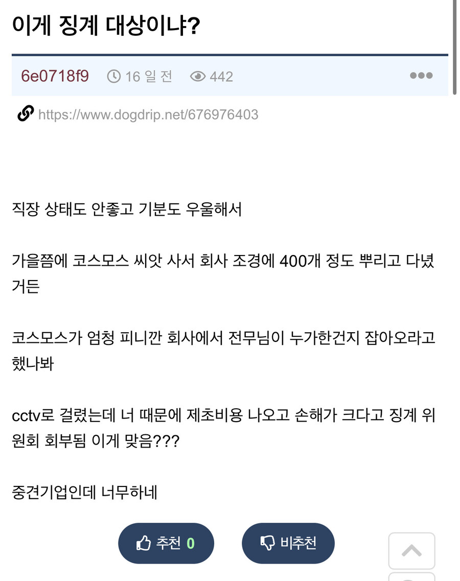 회사에 몰래 코스모스 씨 뿌렸는데 징계 대상이래_1.jpg