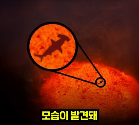 펄펄 끓는 활화산 속에서 발견된 상어.jpg_6.jpg