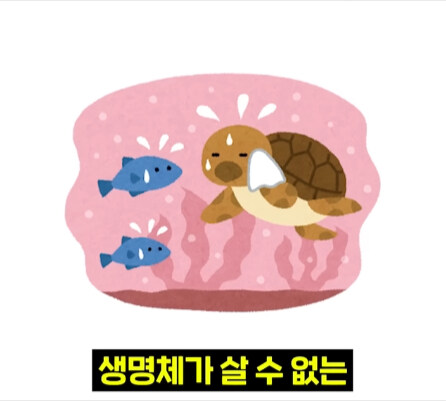 펄펄 끓는 활화산 속에서 발견된 상어.jpg_11.jpg