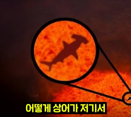 펄펄 끓는 활화산 속에서 발견된 상어.jpg_13.jpg