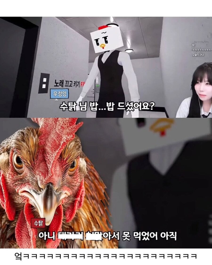 복귀 유튜버 수탉에게 탈룰라 시전한 스트리머.jpg_11.jpg