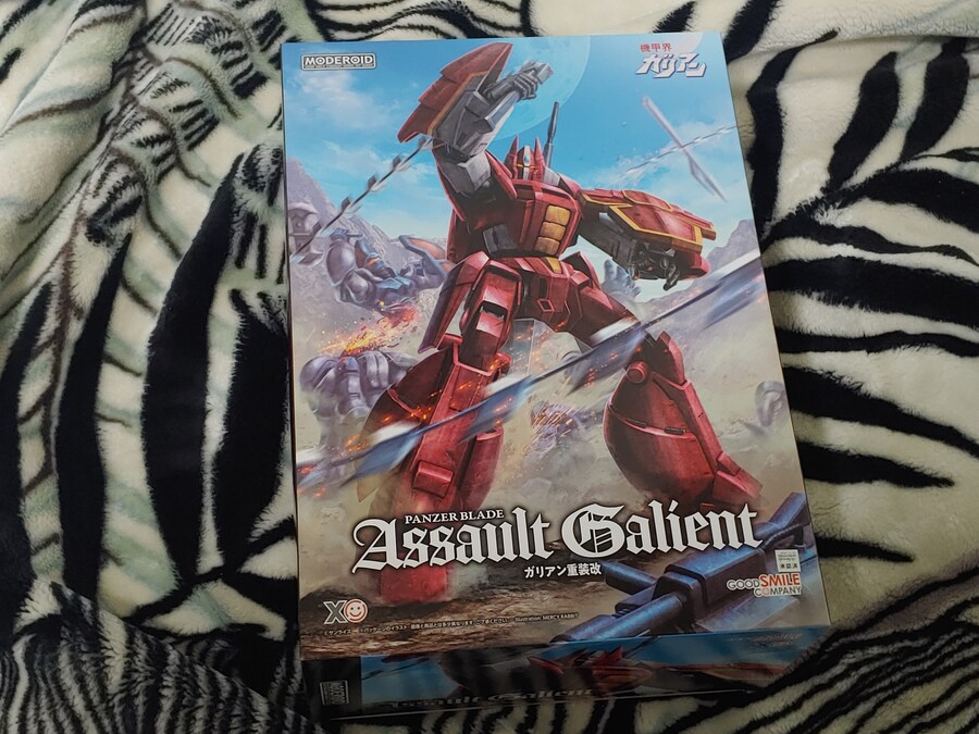 짐 줄이느라 있는 프라도 팔아치우는 마당에..._8.jpg