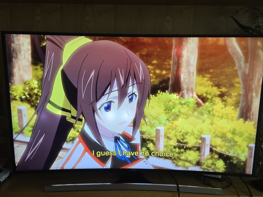 is 인피니트 스트라토스 블루레이_39.jpg