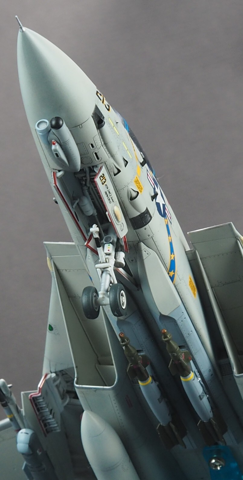 Tamiya 1/72 F-14D VF-213 Black Lions_5.jpg