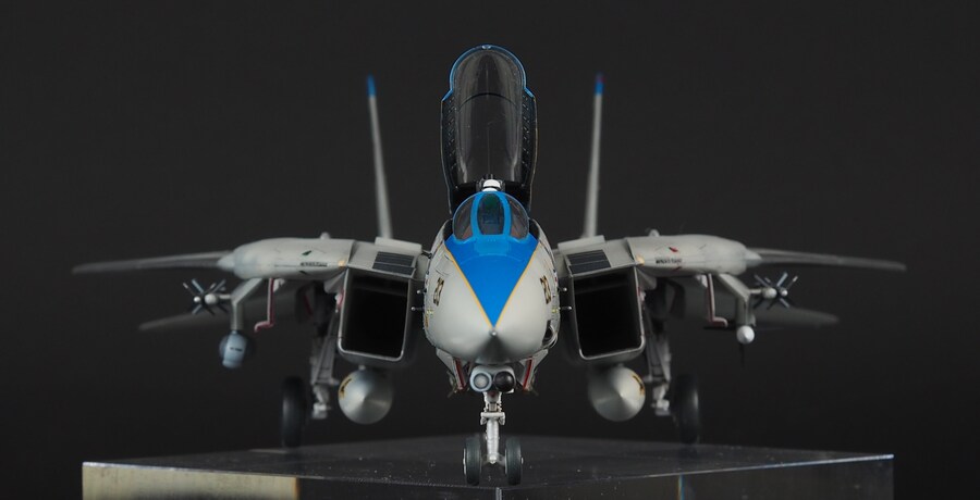 Tamiya 1/72 F-14D VF-213 Black Lions_11.jpg