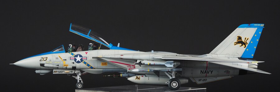 Tamiya 1/72 F-14D VF-213 Black Lions_15.jpg