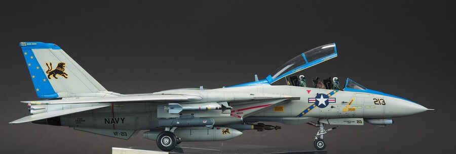 Tamiya 1/72 F-14D VF-213 Black Lions_16.jpg