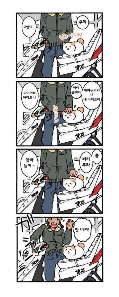 시크하게 말하는 고양이.manhwa_8.jpg