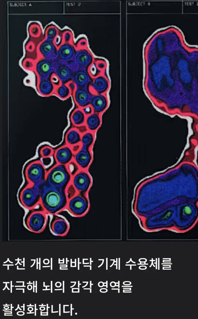 나이키가 10년동안 연구 했다는 신경과학 신발ㄷㄷㄷ_4.webp