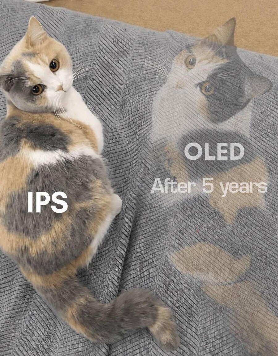 고양이로 알아보는 디스플레이의 차이_2.jpg