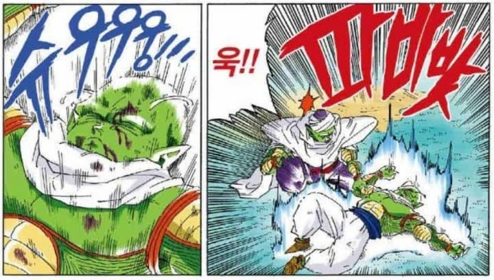 드래곤볼) 새로운 밈이 생긴 캐릭터_1.webp