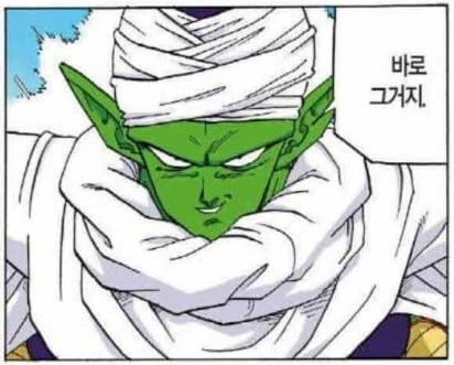 드래곤볼) 새로운 밈이 생긴 캐릭터_27.webp