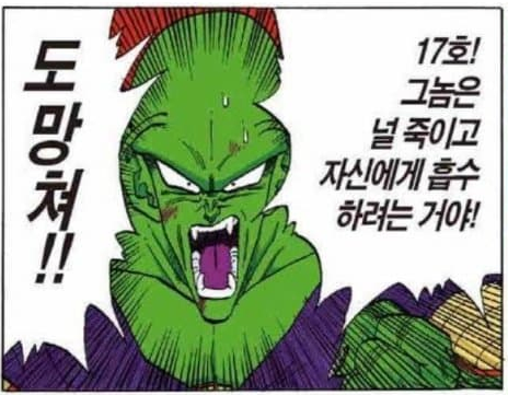 드래곤볼) 새로운 밈이 생긴 캐릭터_37.webp