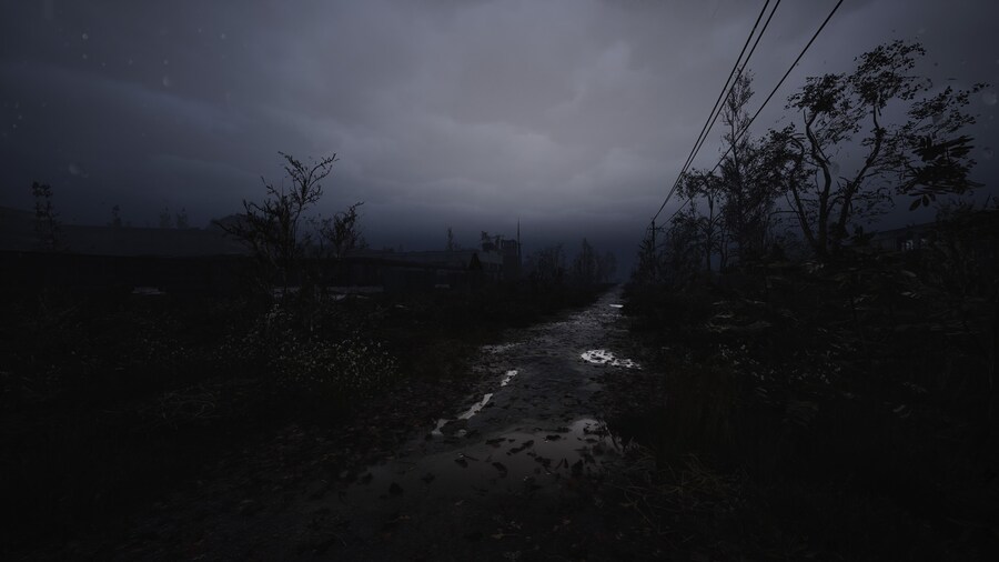 S_T_A_L_K_E_R_ 2_ Heart of Chornobyl_26.jpg