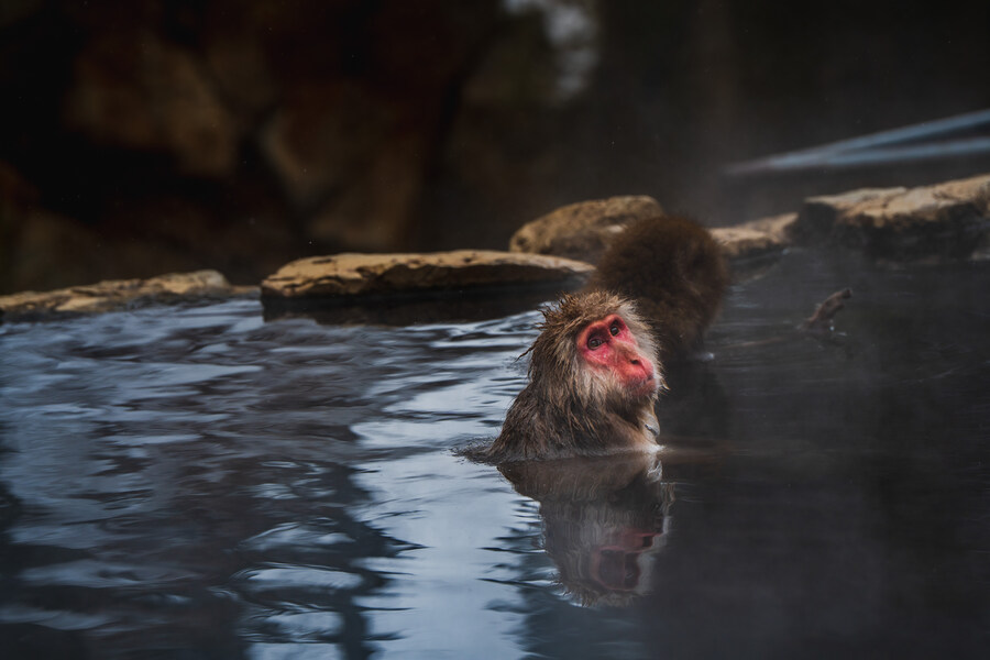 푸른 눈의 여친과의 도쿄 여행_100.jpg