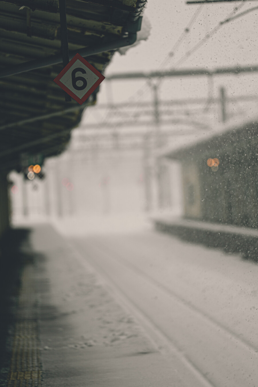 푸른 눈의 여친과의 도쿄 여행_121.jpg