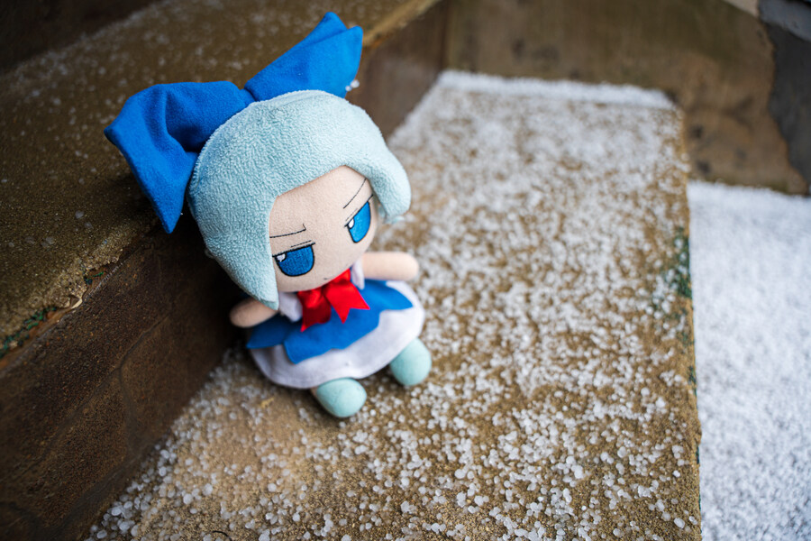 푸른 눈의 여친과의 도쿄 여행_124.jpg