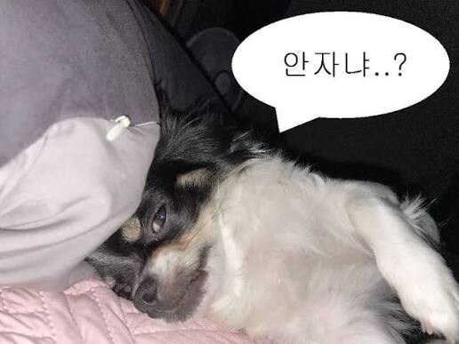 아까부터 자꾸 어그로끄는 깡계들은 문제의 핵심을 전혀 모름_1.jpg